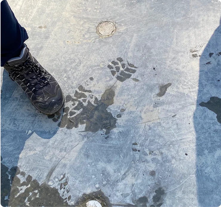 Bird Construction installation